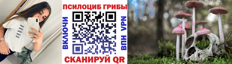 купить наркотики цена  Новоульяновск  Псилоцибиновые грибы ЛСД 